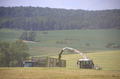 bild_19.jpg
