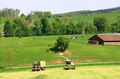bild_14.jpg