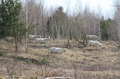 bild_19.jpg