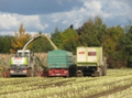 bild_01.jpg