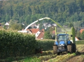 bild_06.jpg