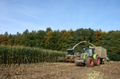 bild_19.jpg