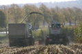 bild_20.jpg