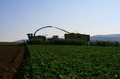 bild_06.jpg