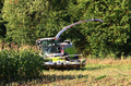 bild_09.jpg