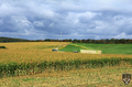 bild_116.jpg
