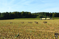 bild_158.jpg