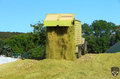 bild_169.jpg