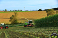 bild_056.JPG