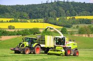 Bild "Dienstleistungen:gras.jpg"